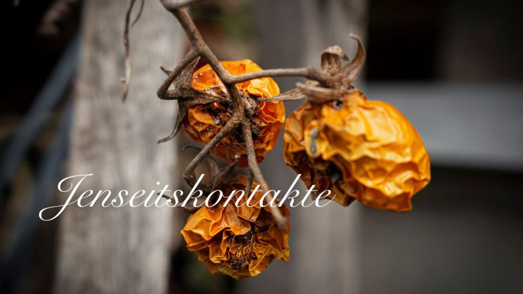 Auf dem Bild ist eine vertrocknete orangene Blüte zu sehen. Das Bild trägt die Aufschrift Jenseitskontakte